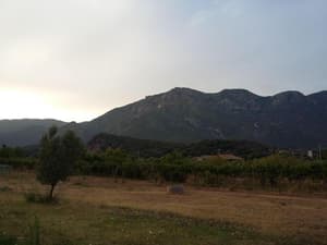 thumbnail: General view