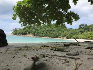 thumbnail: Beach
