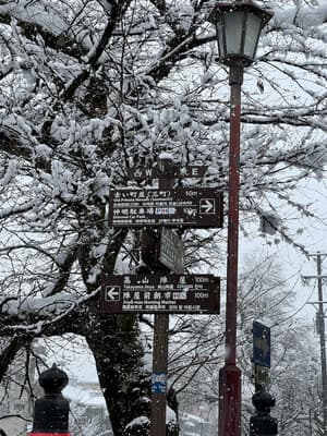 thumbnail: Snowshoeing