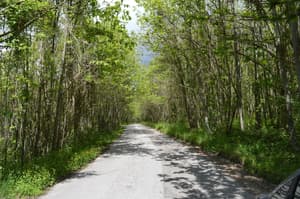 thumbnail: Bicycling