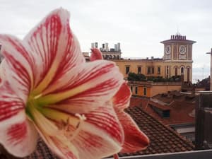 thumbnail: General view
