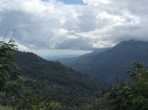 thumbnail: Land view from property