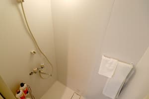 thumbnail: Bathroom shower