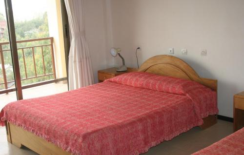 37750199.jpg