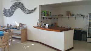 thumbnail: Reception