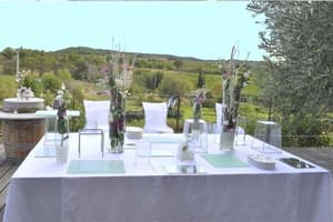 thumbnail: Outdoor wedding area