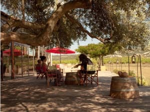 thumbnail: Terrace/patio