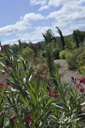 thumbnail: Garden