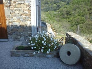 thumbnail: Exterior detail