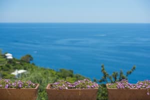 thumbnail: View from room