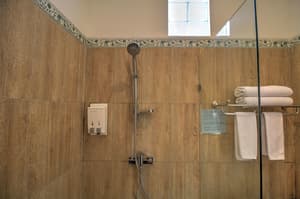 thumbnail: Bathroom shower