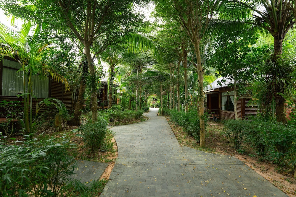 Garden view