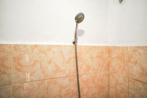 thumbnail: Bathroom shower