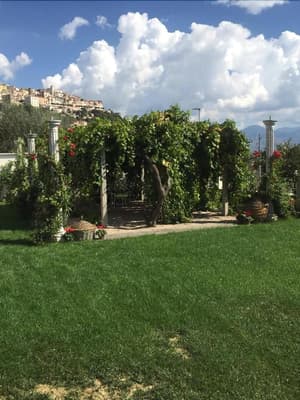 thumbnail: General view