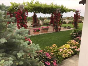 thumbnail: Terrace