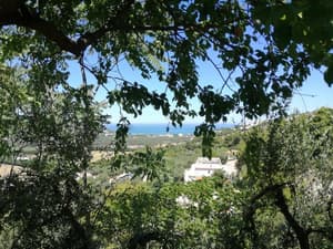 thumbnail: Land view from property