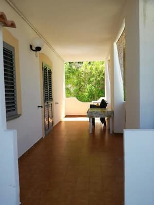 thumbnail: Terrace/patio