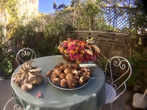 thumbnail: Outdoor dining
