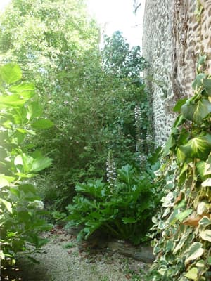 thumbnail: General view
