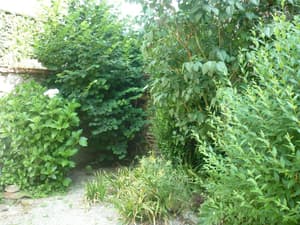 thumbnail: General view