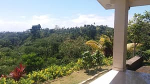 thumbnail: Garden