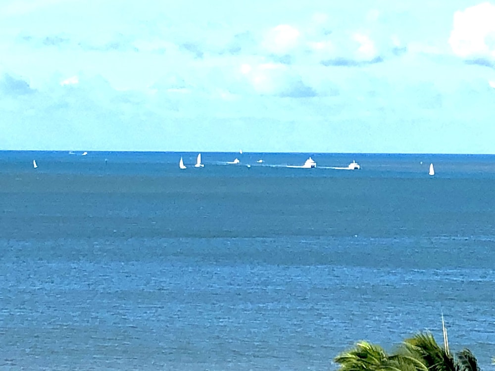 Beach/ocean view