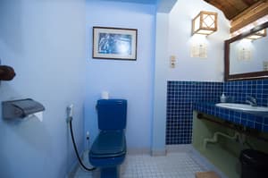 thumbnail: Bathroom shower