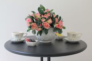 thumbnail: Terrace/patio