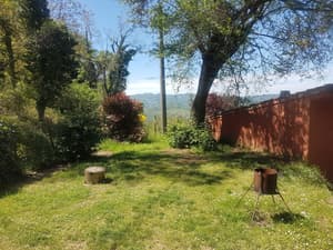 thumbnail: Garden view