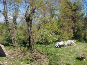 thumbnail: Garden view