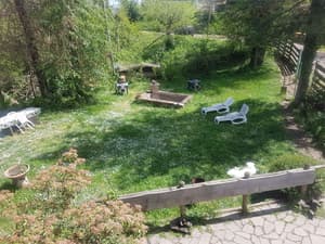 thumbnail: Garden view