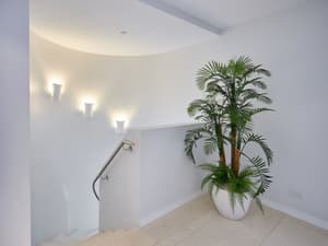 thumbnail: Staircase