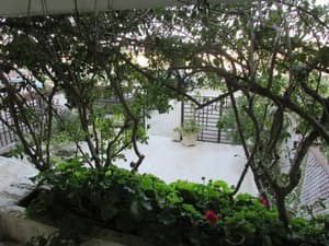 thumbnail: Property grounds