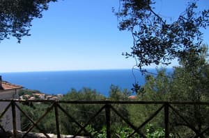 thumbnail: View from property