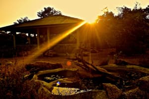 thumbnail: Garden