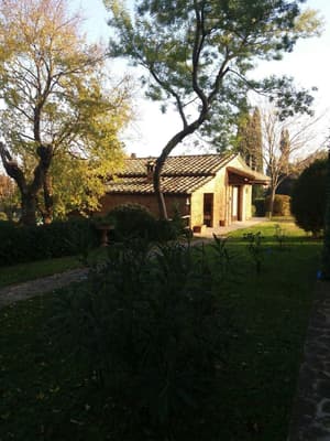 thumbnail: General view