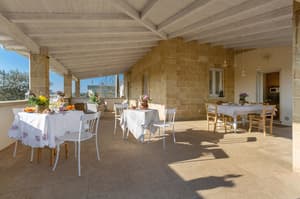 thumbnail: Terrace/patio