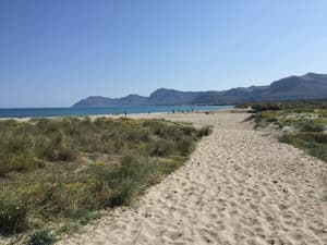thumbnail: Beach