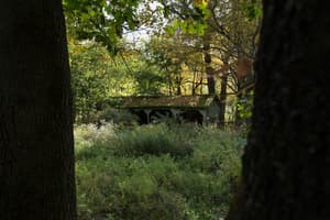 thumbnail: Property grounds
