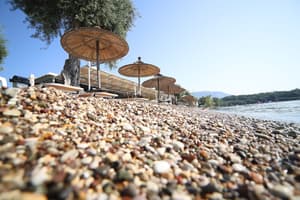 thumbnail: Beach