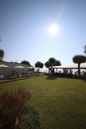 thumbnail: Garden