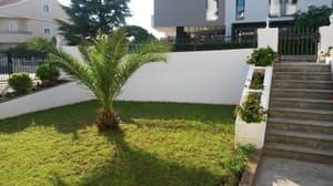 thumbnail: Property grounds