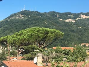 thumbnail: Property grounds
