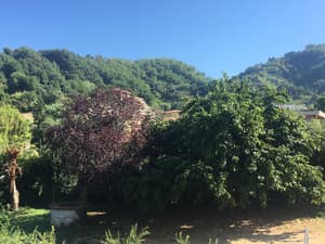 thumbnail: Property grounds