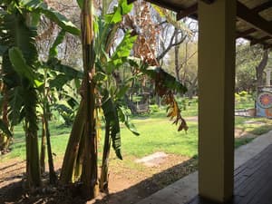 thumbnail: View from room