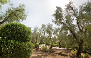 thumbnail: Property grounds