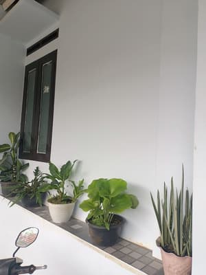thumbnail: Terrace/patio