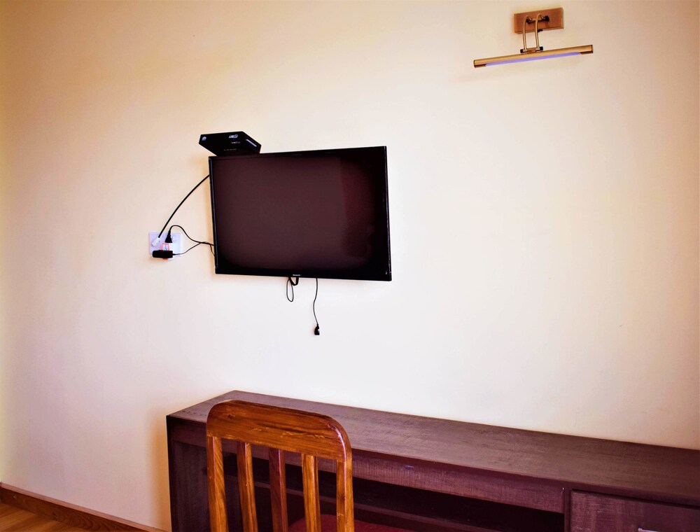 Television