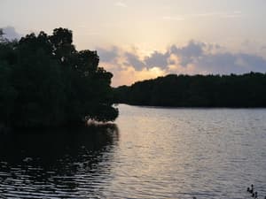 thumbnail: Miscellaneous
