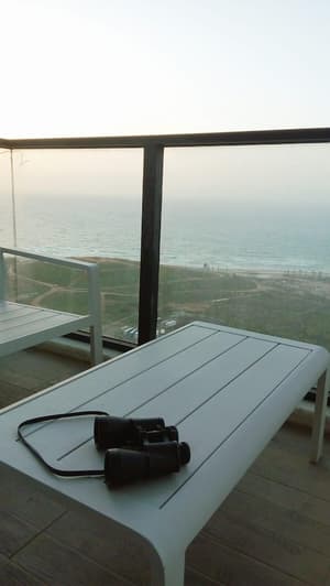 thumbnail: Terrace/patio